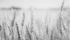 SPACE STAR GROUP DRIVE-AWAY ANTENNA1.2M